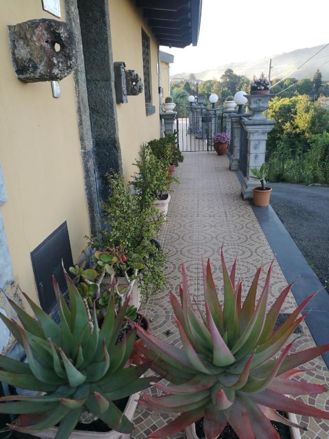 Casa Vacanza Tra Etna E Taormina Villa Ginevra بيديمونتي إتنيو المظهر الخارجي الصورة